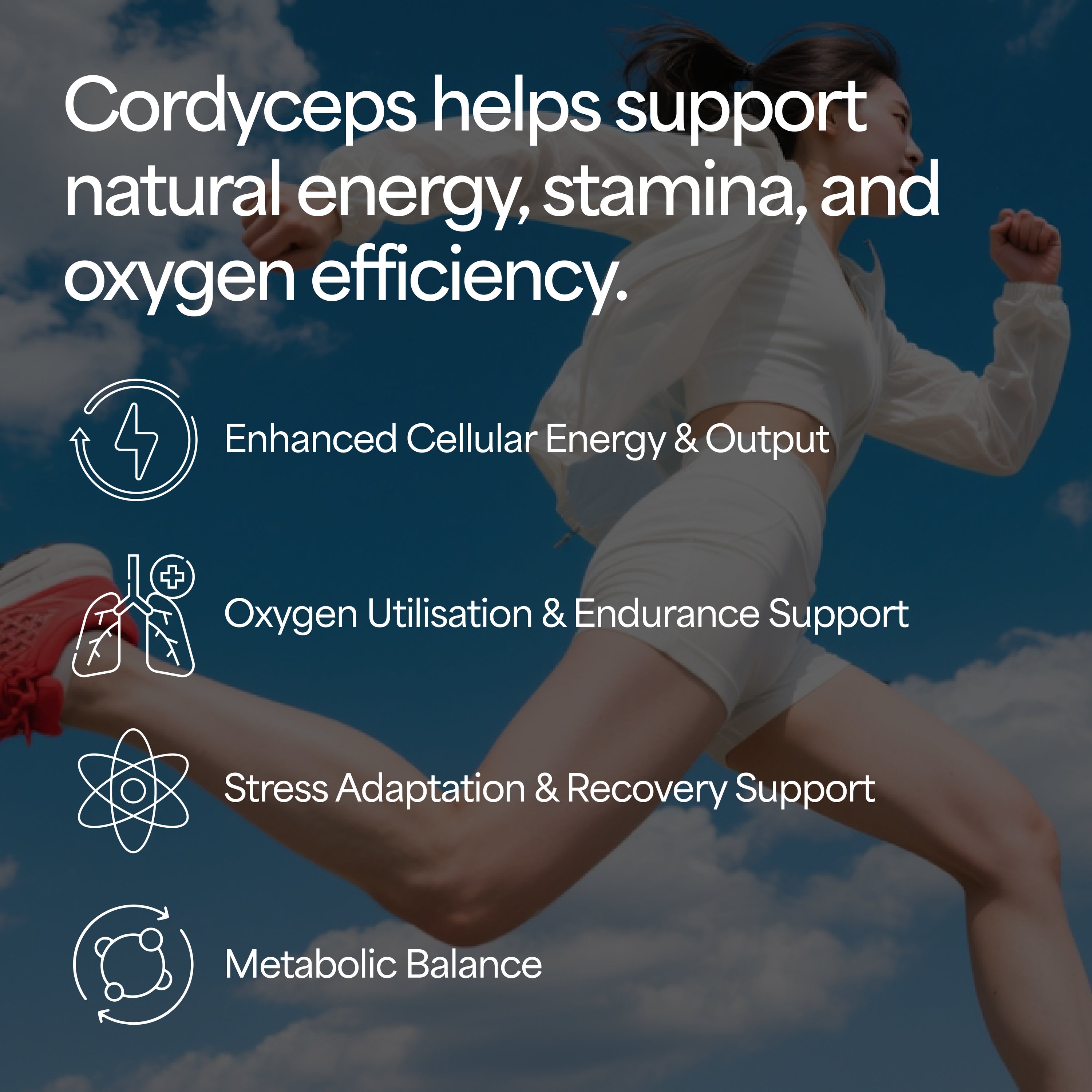 Cordycep Mushroom Tincture