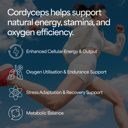 Cordycep Mushroom Tincture