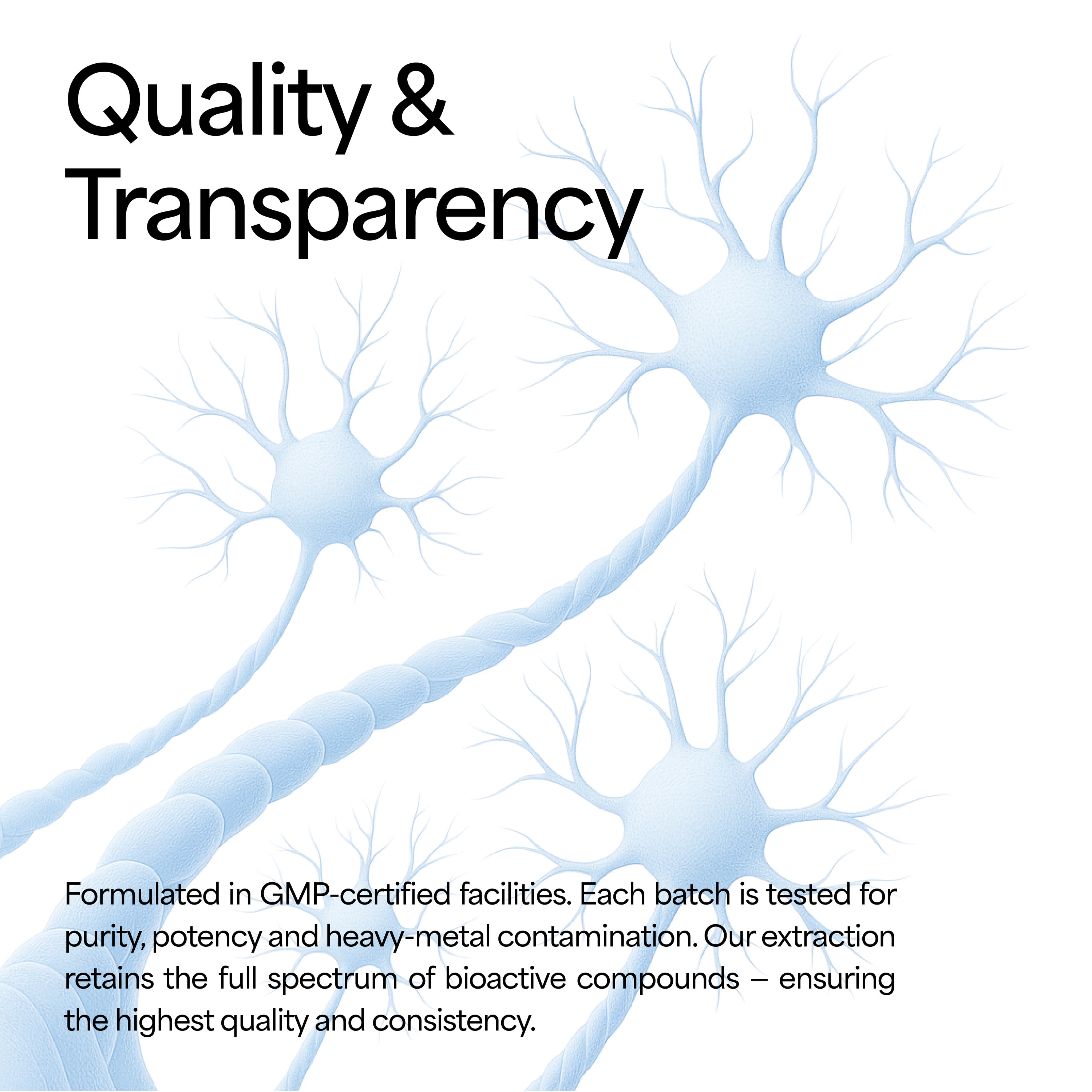 Lion's Mane Mushroom Tincture