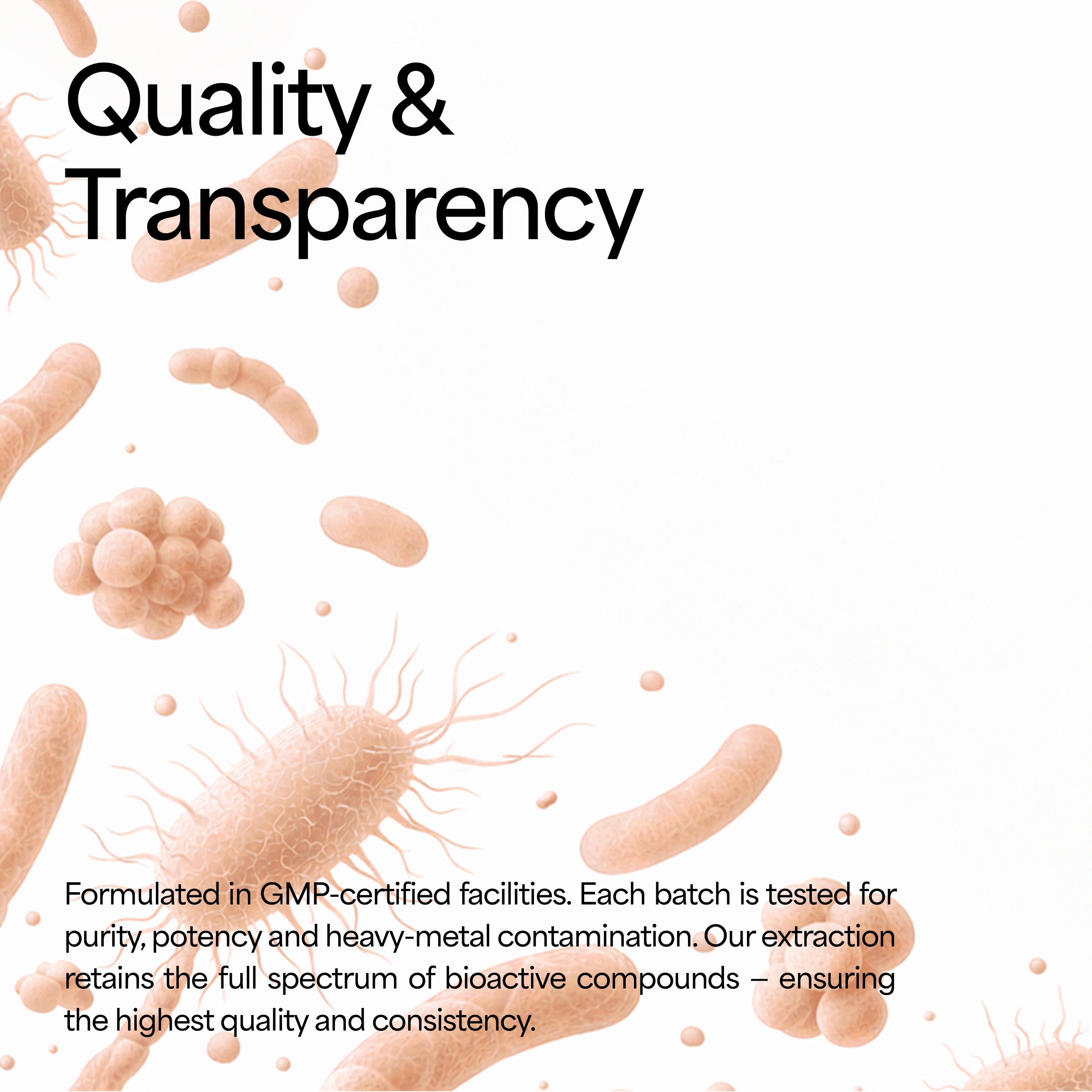 Turkey Tail Mushroom Tincture