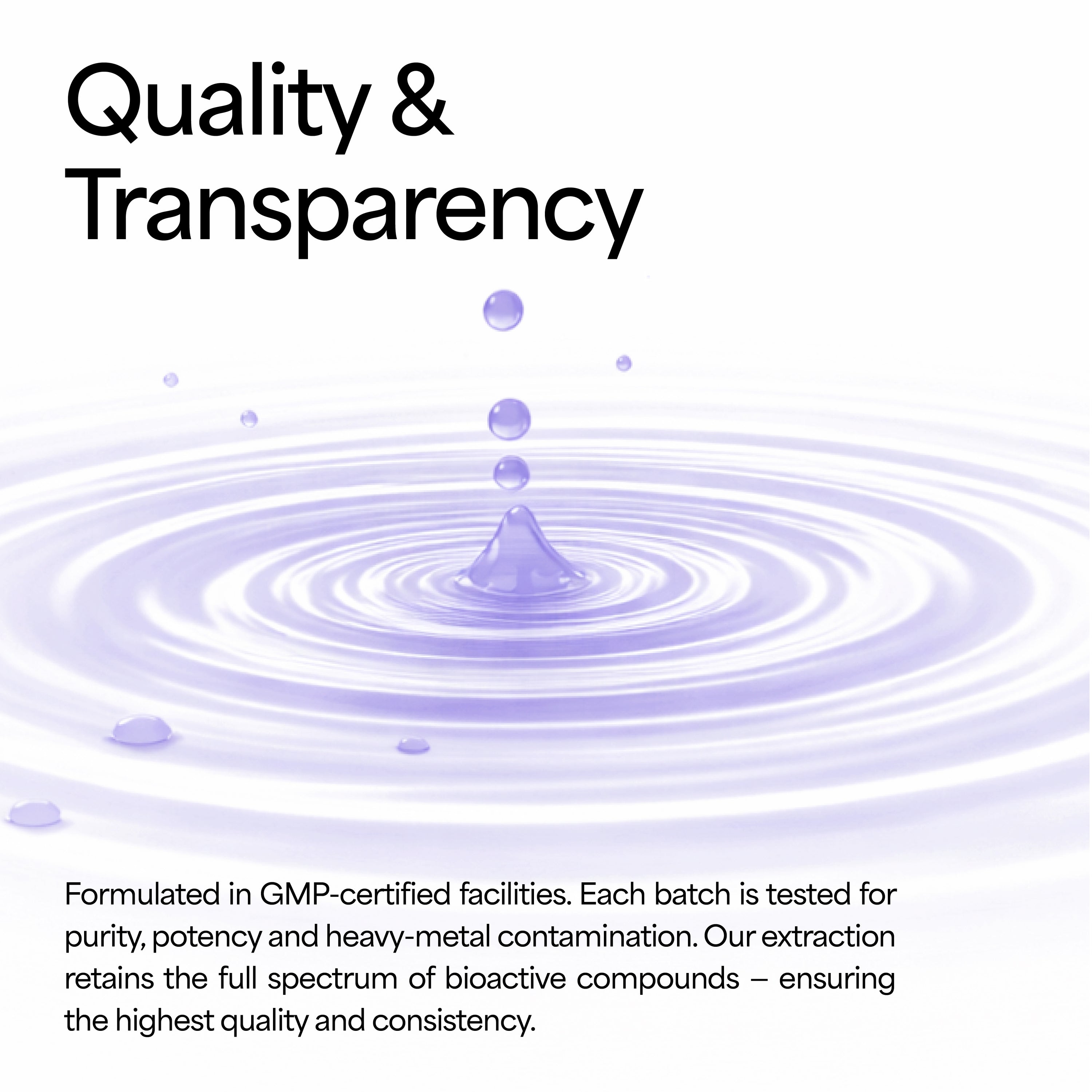 Reishi Mushroom Tincture