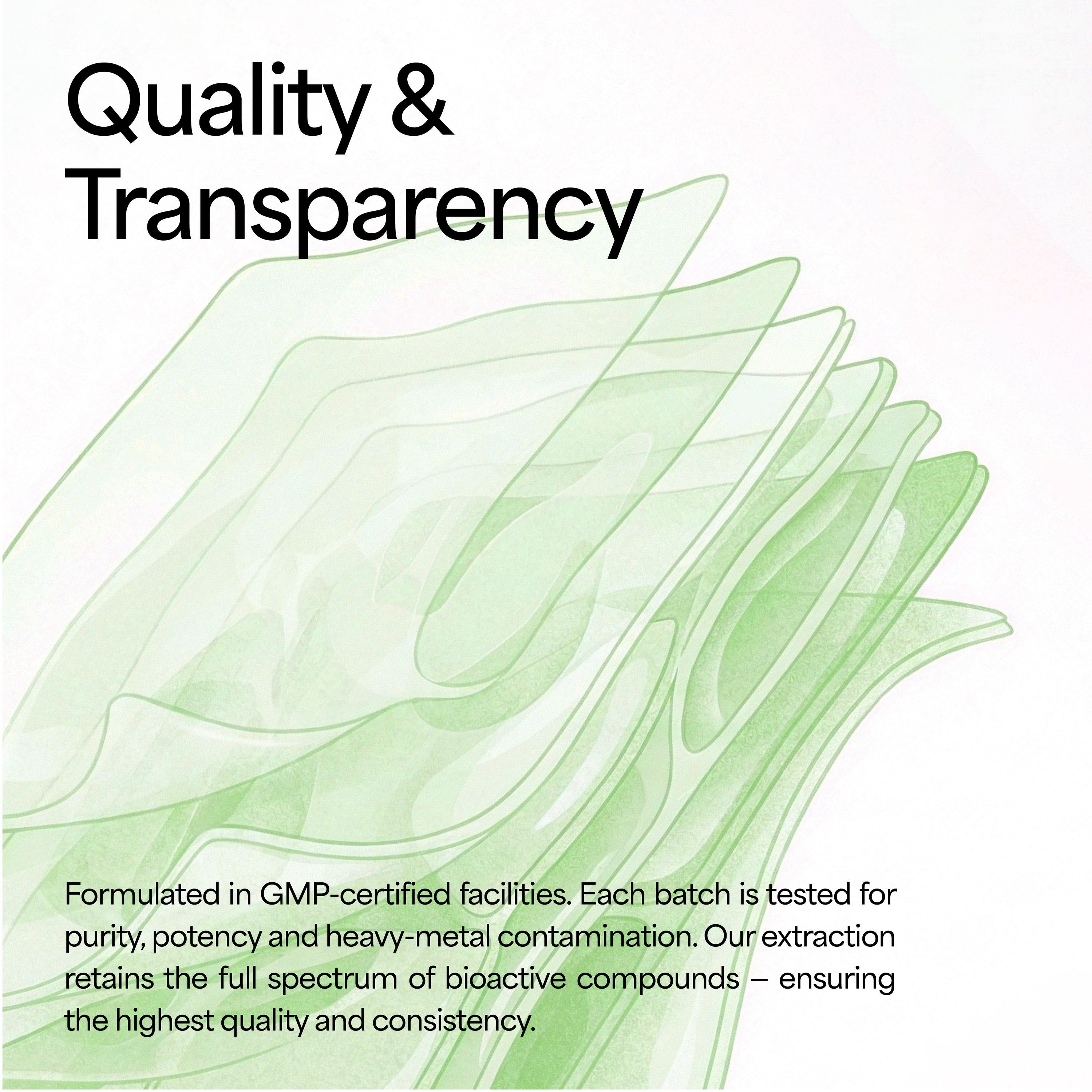 Shiitake Mushroom Tincture