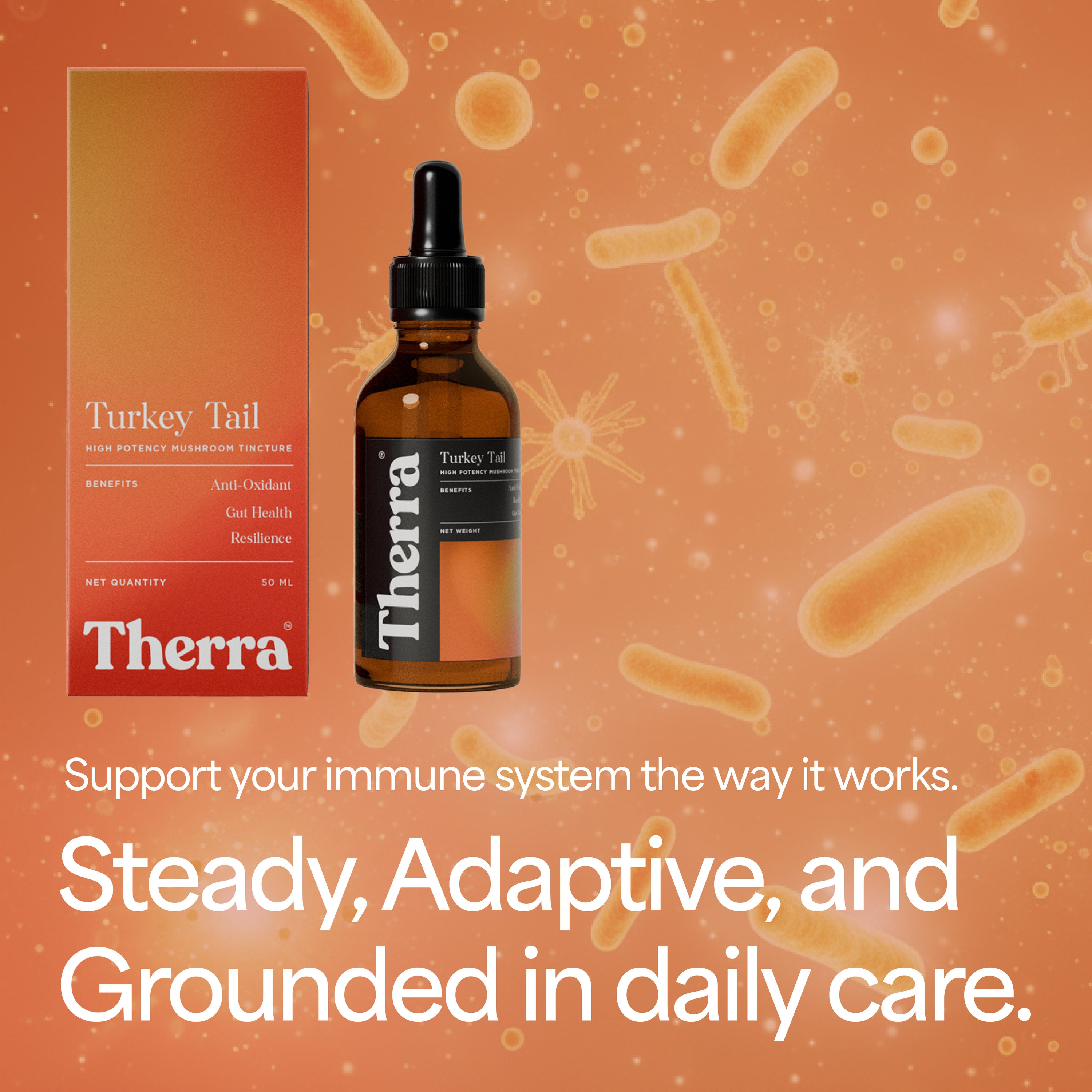 Turkey Tail Mushroom Tincture