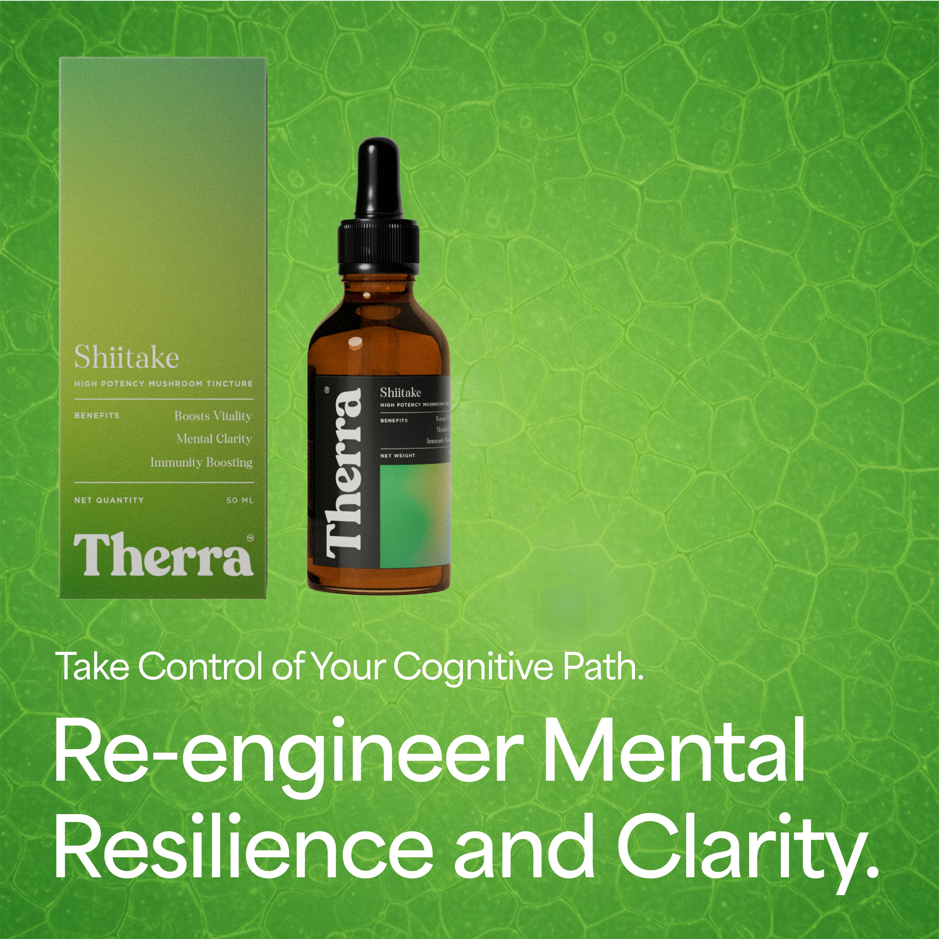 Shiitake Mushroom Tincture