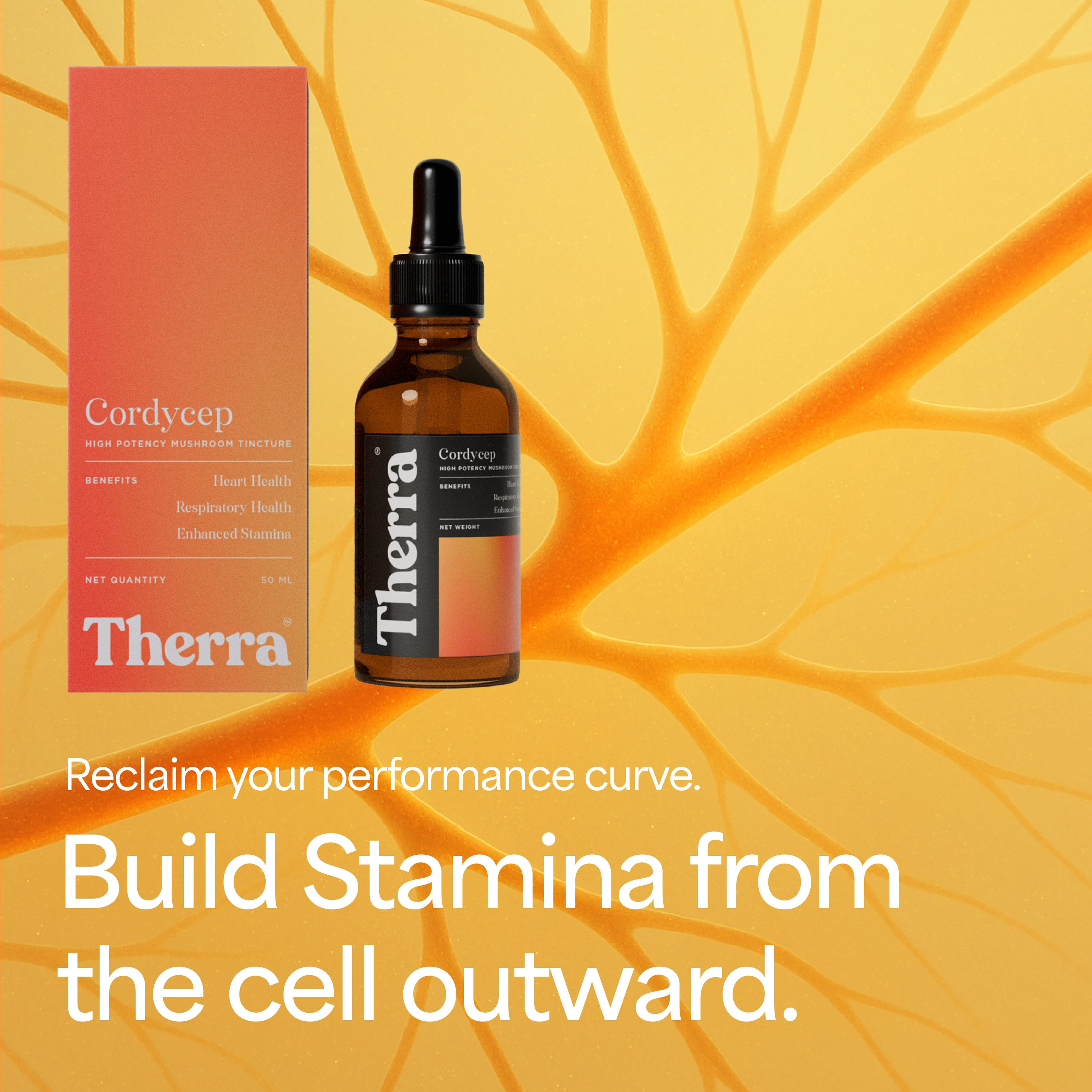 Cordycep Mushroom Tincture