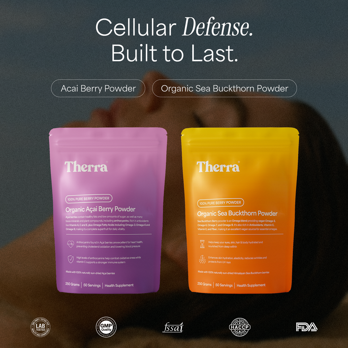 Longevity Bundle